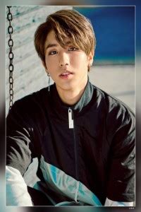 Stray Kids Double Knot Concept Han Matte Finish Poster P-13833 Paper ...