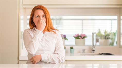How to Get Rid of the Dead Mouse Smell in Your Home - what is the smell of dead mouse