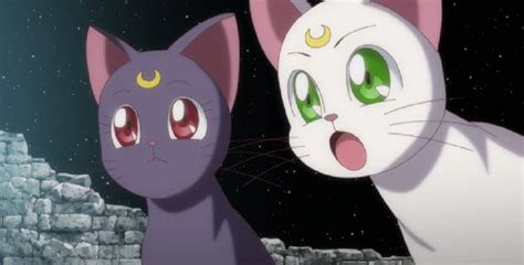 Things You Didn't Know About Luna And Artemis