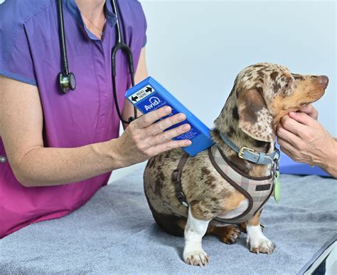 Dr Well Veterinary Clinic - PETWITHIT