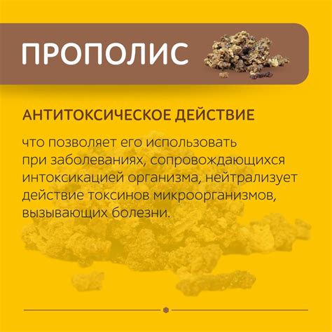 Всё о прополисе: сбор, заготовка, свойства, ценность, применение