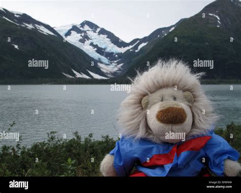 Pet mountain lion hi-res stock photography and images - Alamy