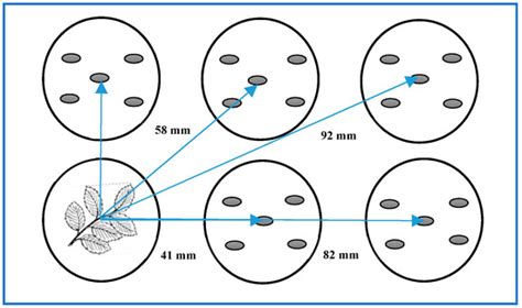 Evaluation of Potential Volatile Allelopathic Plants from Bangladesh ...