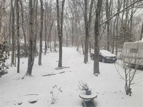 Snowfall totals: Here’s how much snow fell in Massachusetts Tuesday | WWLP