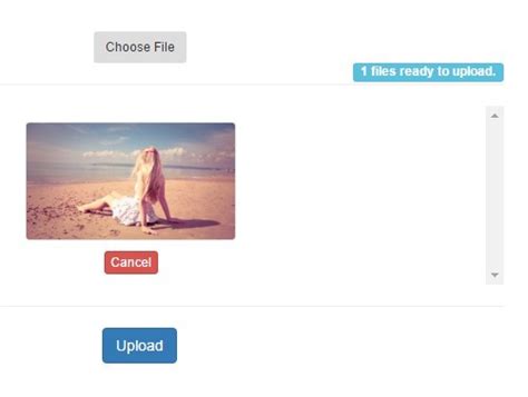Image result for File Uploader HTML with Preview