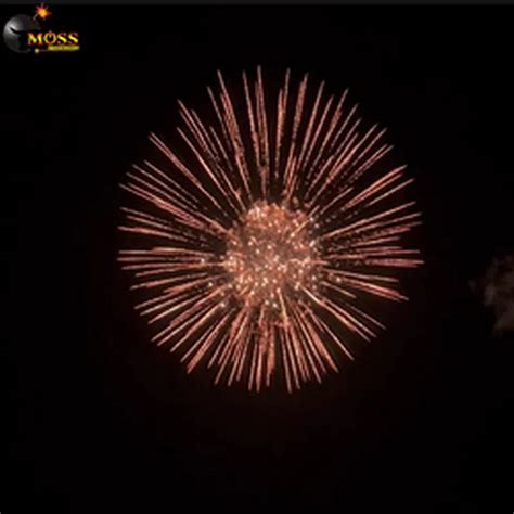 Image result for Display Shell Fireworks