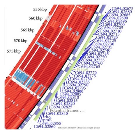 Image result for Pathogenicity Islands