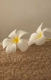 Bipasa & Ritu Body Massage Parlour In Kolkata || Massage center in kolkata