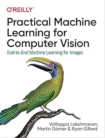 Buy Practical Machine Learning for Computer Vision: End-to-End Machine ...