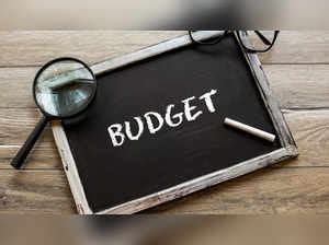 Lok Sabha passes Finance Bill, completes exercise for interim budget ...