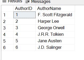 How to Use Normalisation with Examples in Queries Format 的图像结果