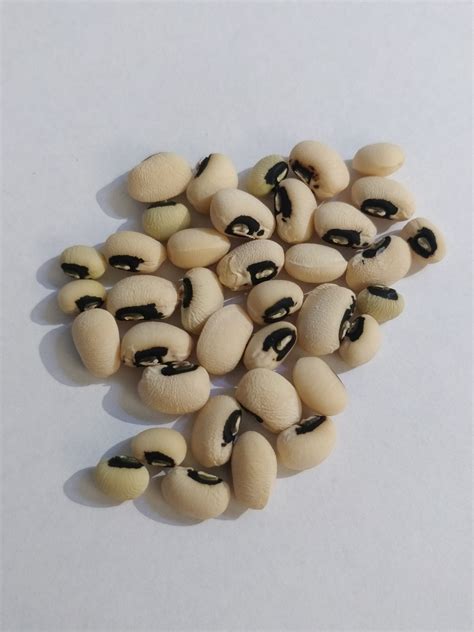 Black eyed peas (cow peas) - Local Seeds