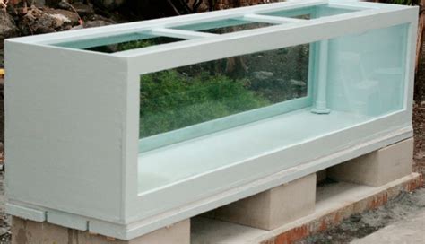 How to Test Wood for Aquariums 的图像结果