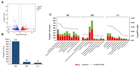Transcriptomics Reveals the Differences in mRNA Expression Patterns in ...