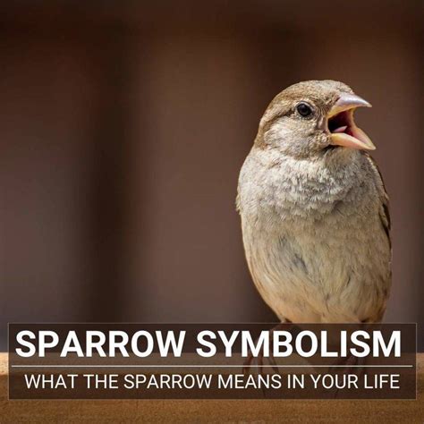 What Do Sparrows Represent