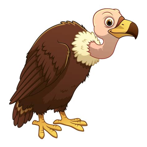 Vulture clipart Images - Free Download on Freepik