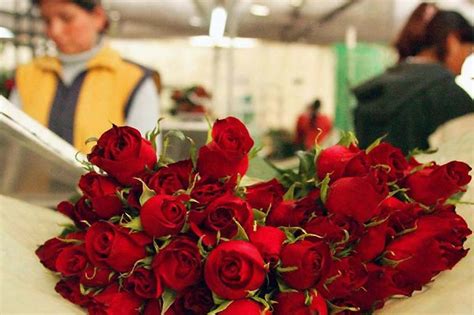 Importancia de las flores Ecuatorianas en el mundo - Poligrup