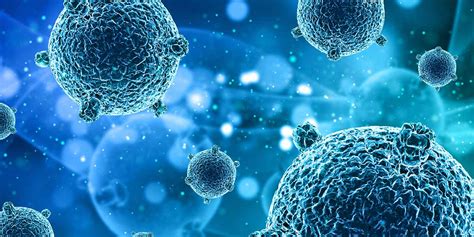 How Our Gut Bacteria Affect Our Health – Nutrova