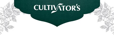 Buy Cultivator's Organic Herbal Hair Colour Kit for Women and Men ...