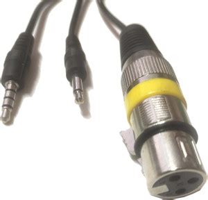 sriaarnika XLR Female to 3.5mm Dual TRS Male Cable for Microphone ...
