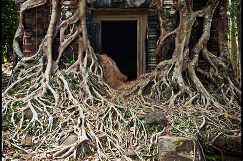 Day trip to Koh Ker & Beng Mealea from Siem Reap 2021