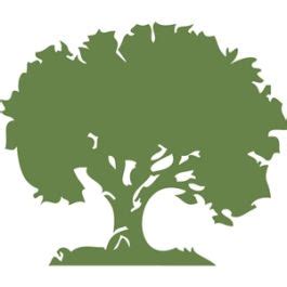 Abstract Tree with String 的图像结果