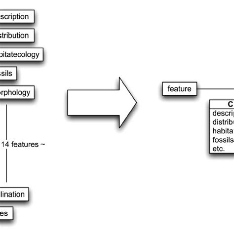 Image result for Examples of Alphanumeric Characters