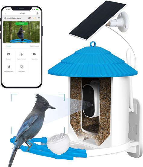 Amazon.com : JTAGOO Smart Bird Feeder with Camera Solar Powered ...