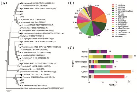 Distribution and Molecular Characteristics of Vibrio Species Isolated ...