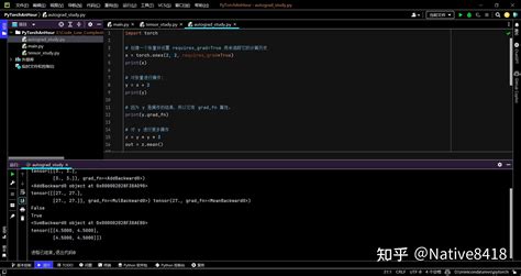 Pytorch 的图像结果