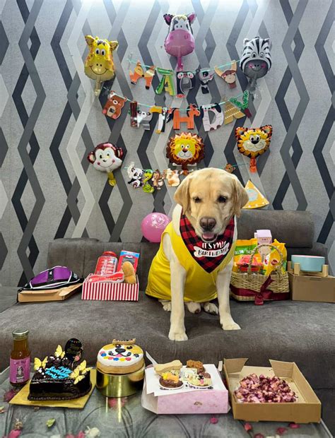 RED AND BLACK CHECKS “HAPPY BDAY” BANDANA FOR PETS