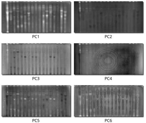 Novel Hyperspectral Analysis of Thin-Layer Chromatographic Plates—An ...