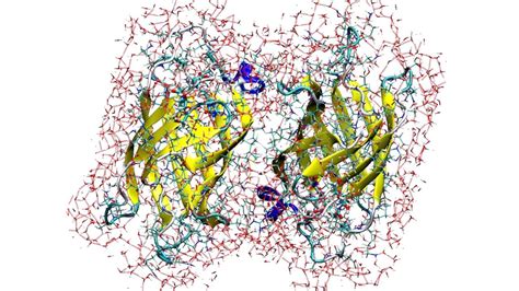 Image result for Molecular Dynamics Model