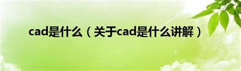 CAD全称是什么啊？？？是Autocad吗？？？