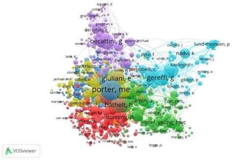 Cluster Internationalization: Qualitative Review, Theoretical Direction ...