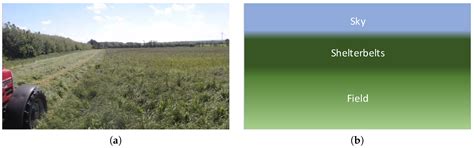 DeepAnomaly: Combining Background Subtraction and Deep Learning for ...