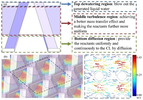 Design and Modelling of 3D Bionic Cathode Flow Field for Proton ...