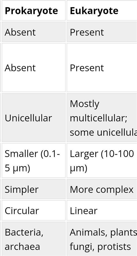 difference between prokaryotic and eukoryotic celll - Brainly.in