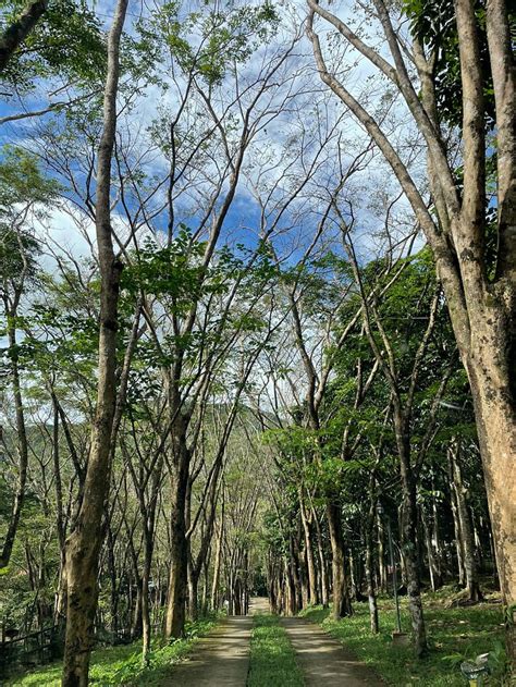 PILI PANINAP FARMS (Tanay) - Guesthouse Reviews & Photos - Tripadvisor