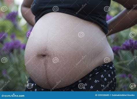 Pregnant Woman Belly. Pregnancy Concept Stock Image - Image of body ...