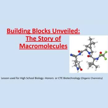 Image result for Macromolecules Building Blocks