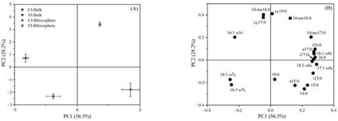 Water Management-Mediated Changes in the Rhizosphere and Bulk Soil ...