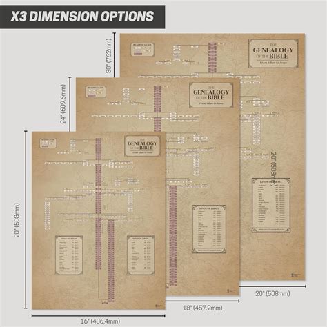 Biblical Genealogy Chart, Jesus Family Tree, Bible Australia | Ubuy
