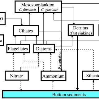 Image result for Ecosystem Structure Model