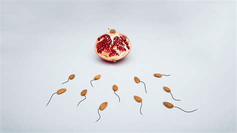 Sperm Racing: The World’s Strangest New Sport Is Here