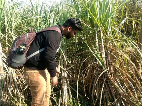 Ayudh Amritsar Organizes IAM Sessions, Organic Farming | Ayudh - Awaken ...