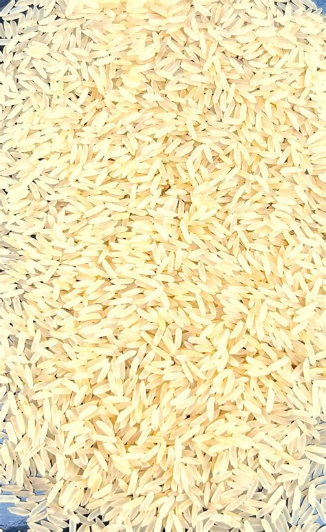 PR 11 Rice Manufacturer, Exporter From India