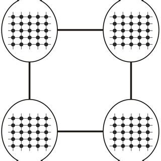 Cellular Model Simulation 的图像结果