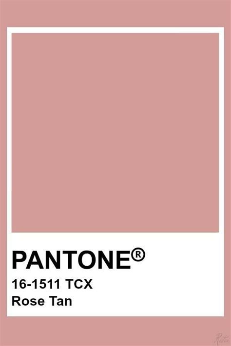 Pantone 2020秋冬5大流行色！超美色系快點穿起來！