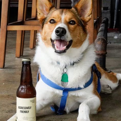 Twisted Path Distillery | wisconsinharbortowns.net